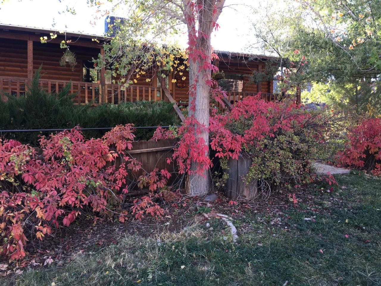 Canyon Wren Bed And Breakfast Bluff Εξωτερικό φωτογραφία
